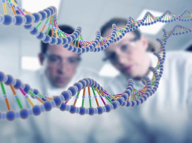 Precíziós gén- és genomszerkesztés az élhetőbb világért – az MTA állásfoglalása