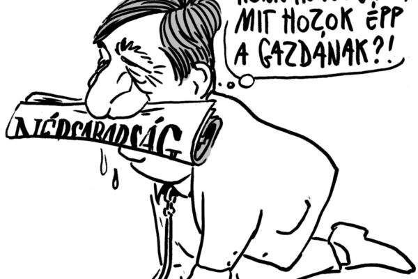 Mészáros Lőrinc