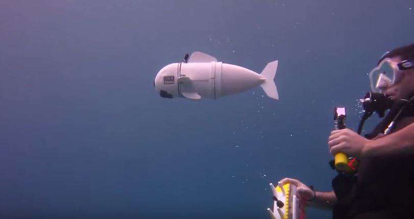 Robothal a tengerek kutatására