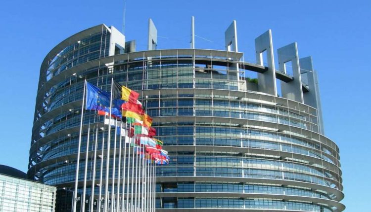 EP civil szervezetek hetes cikk