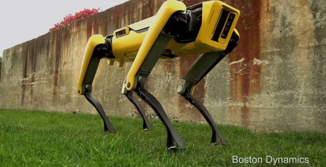 robot kutya