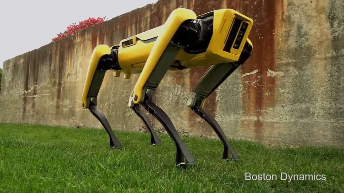 Jövőre már jön a robot kutya