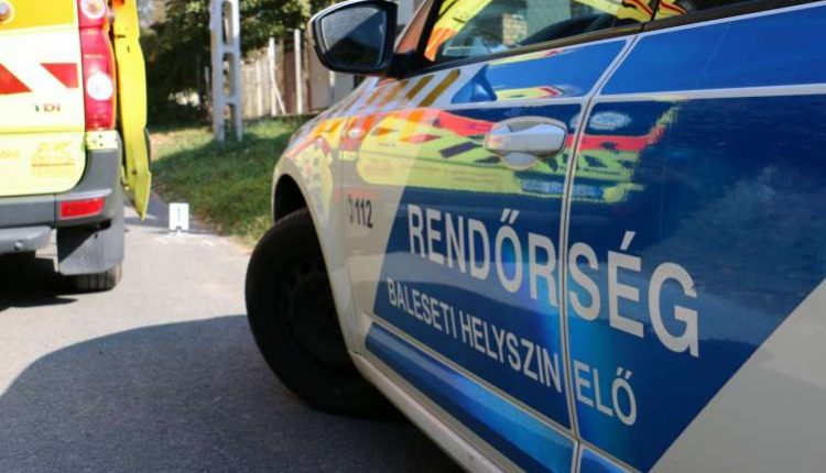 rendorseg