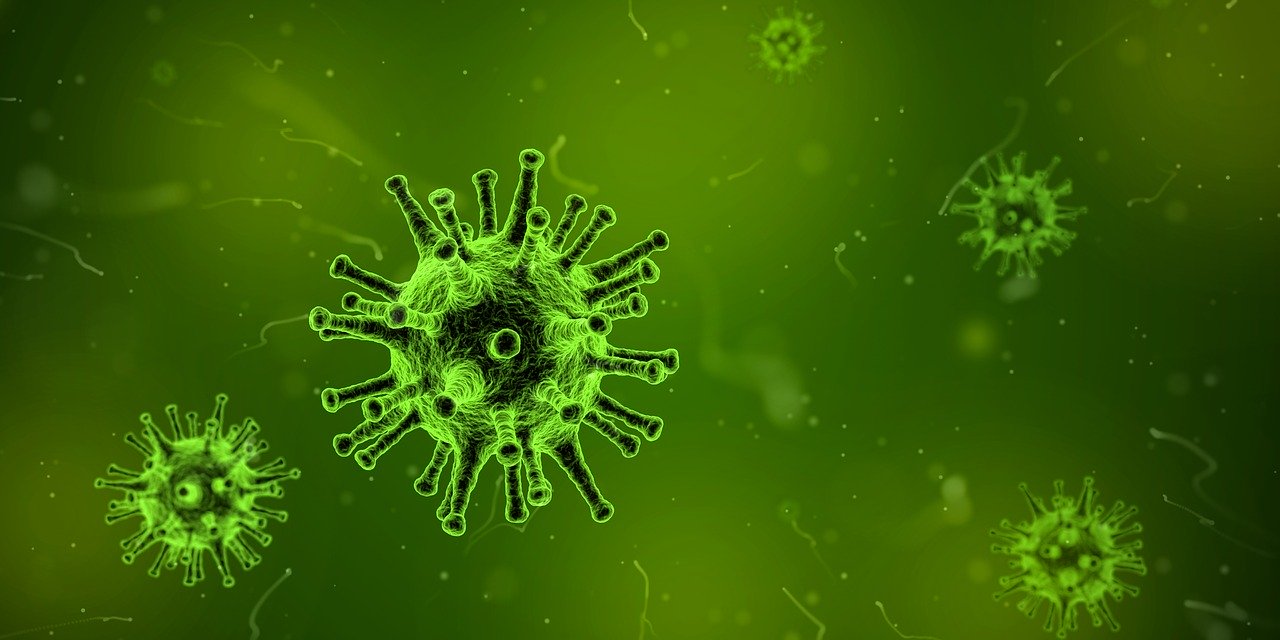 A koronavírus megállítható a határon?