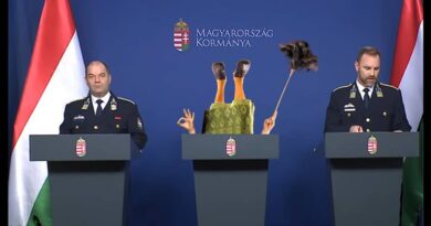 Müller Cecília megint lejáratta saját magát