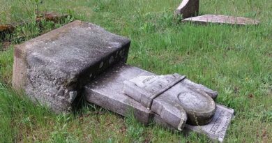 Szétrúgták és kidöntötték a budakeszi zsidó temető sírjainak felét