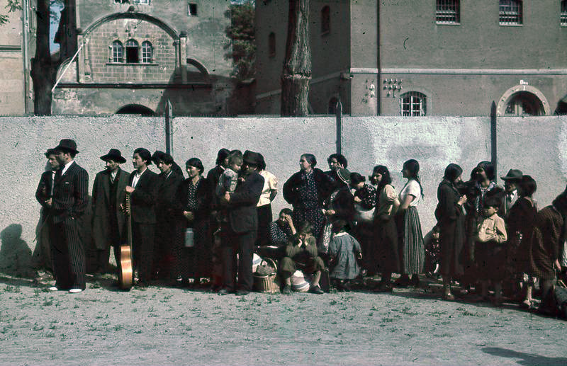 roma holokauszt