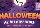 Állatkerti Halloween: jelmezben, arcfestéssel, vagy töklámpással érkező 14 éven aluli gyermekeknek 200 forint a beugró