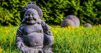 feng shui,