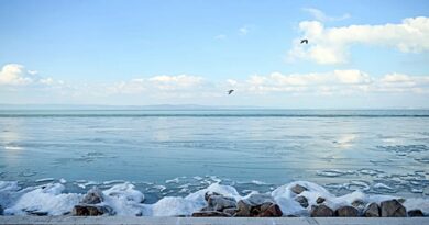 Balaton