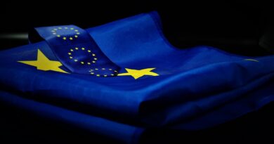 Európai Bizottság döntése: az akkumulátor-gyarmatosítás elleni küzdelemben nem számíthatunk az EU-ra - állítja az LMP