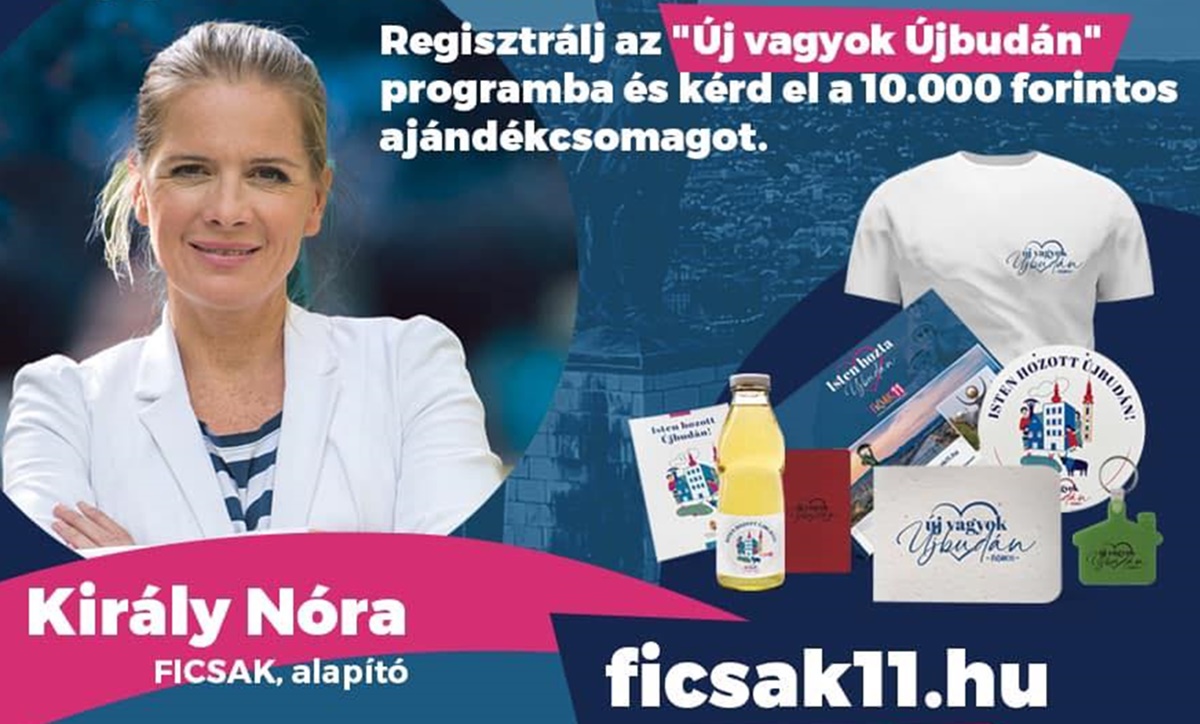 Király (Ficsak) Nóra, a közpénzzel kitömött fidesz-üdvöske kiplakátolva