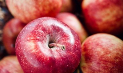 Nyugdíjasok 5 kg, családosok 10 kg, nagycsaládosok 15 kg almára jogosultak - A hálát a fülke magányában kéri a Fidesz kifejezni