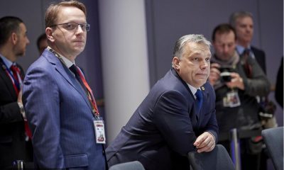 Erre bazírozhatott Orbán? Egészségügyi és állatjóléti biztosnak jelölték az EU-ban Várhelyi Olivért