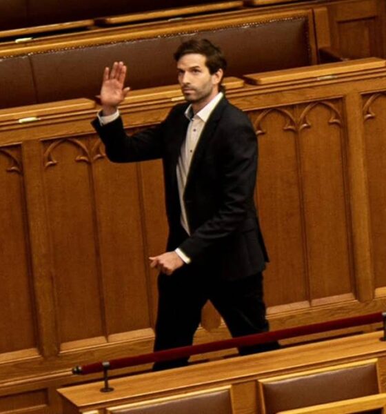 Fekete-Győr a Tiszát segítené, de a Kétfarkú Kutyapártnak használ