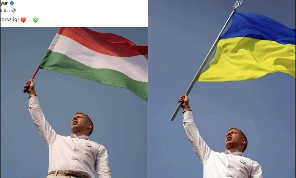 magyar, bohár,