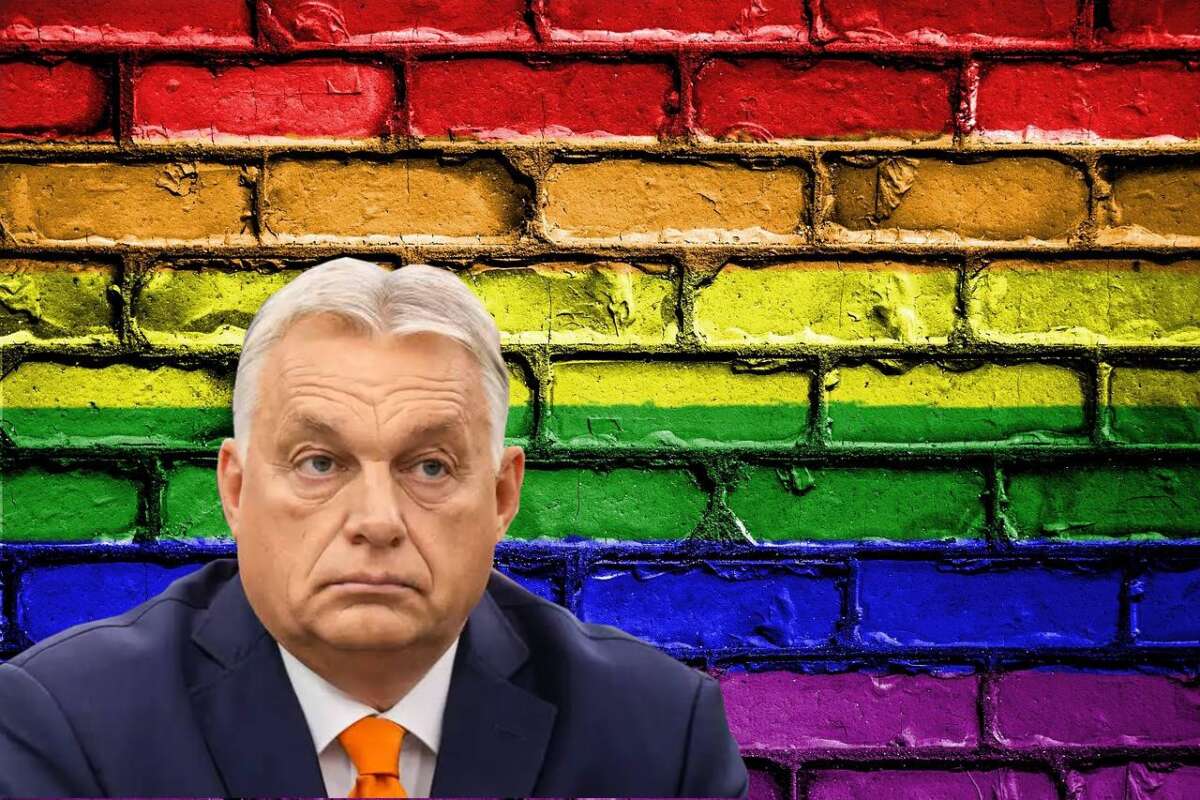 Panyi Szabolcs: az Orbán-rendszer, amely eddig harapott, most már csak ugat