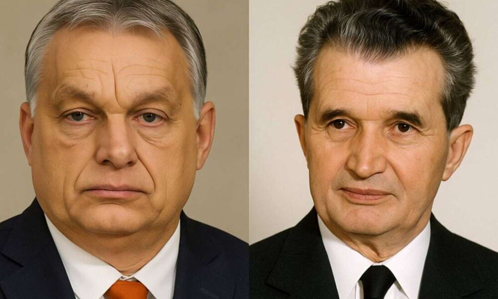 vezető európa,